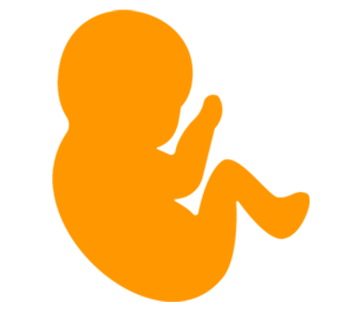 prenatal