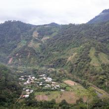 Colinas onduladas