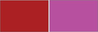 Test Image